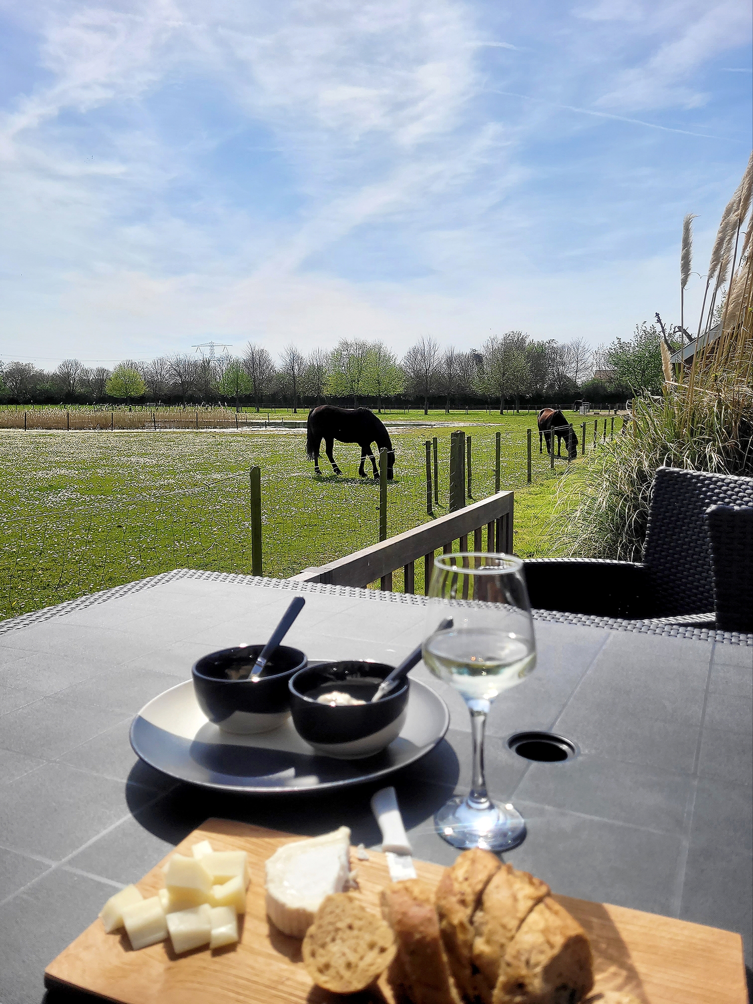 Een weekendje weg in Guesthouse Zeeuws Plaatje 