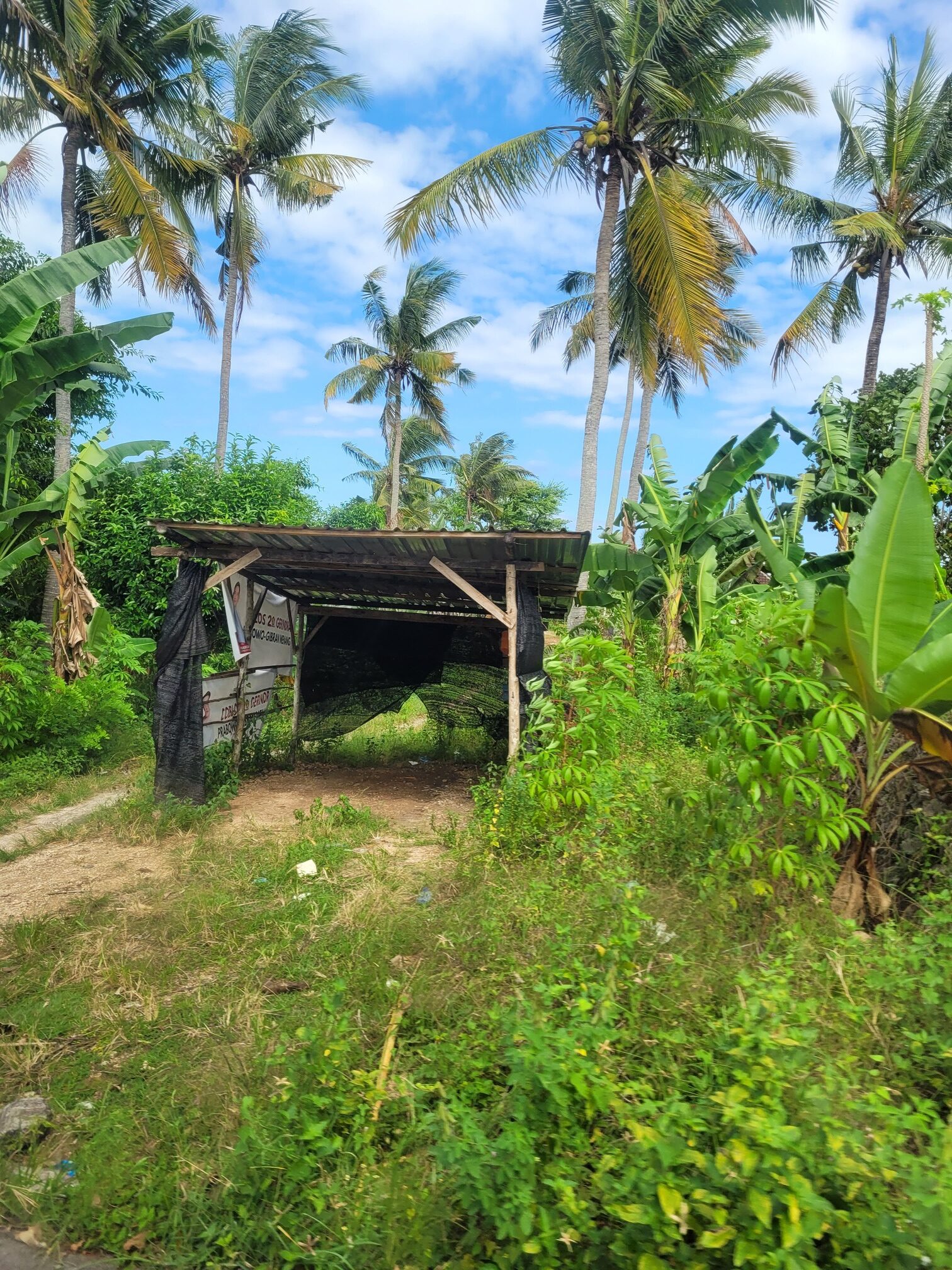 Rondreizen door Bali