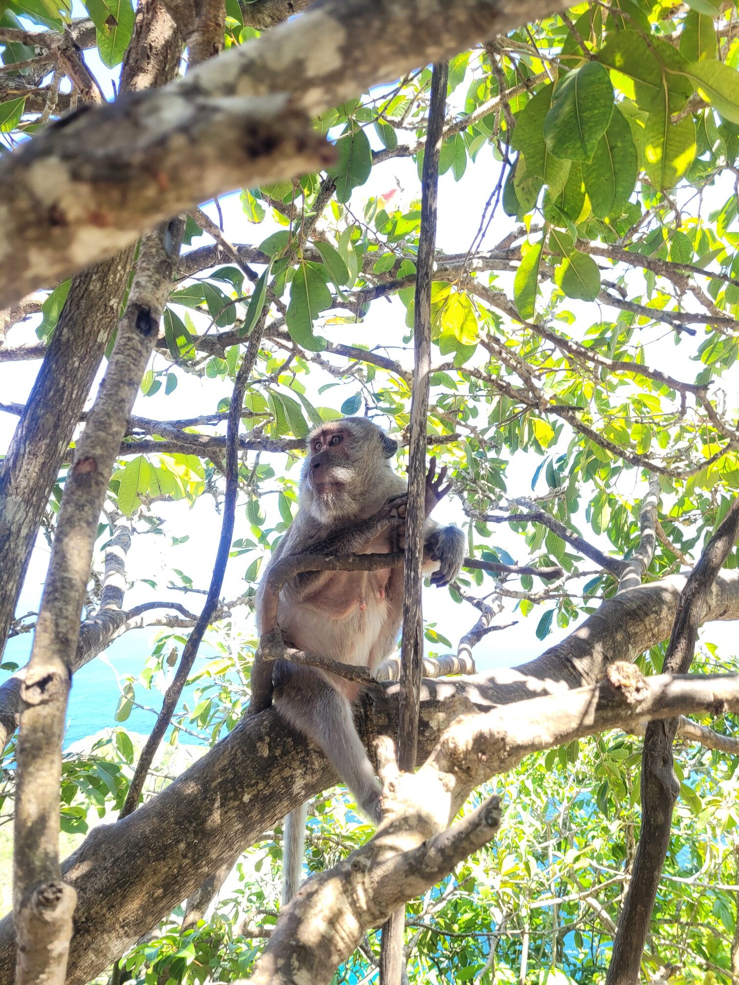 Rondreizen door Bali
