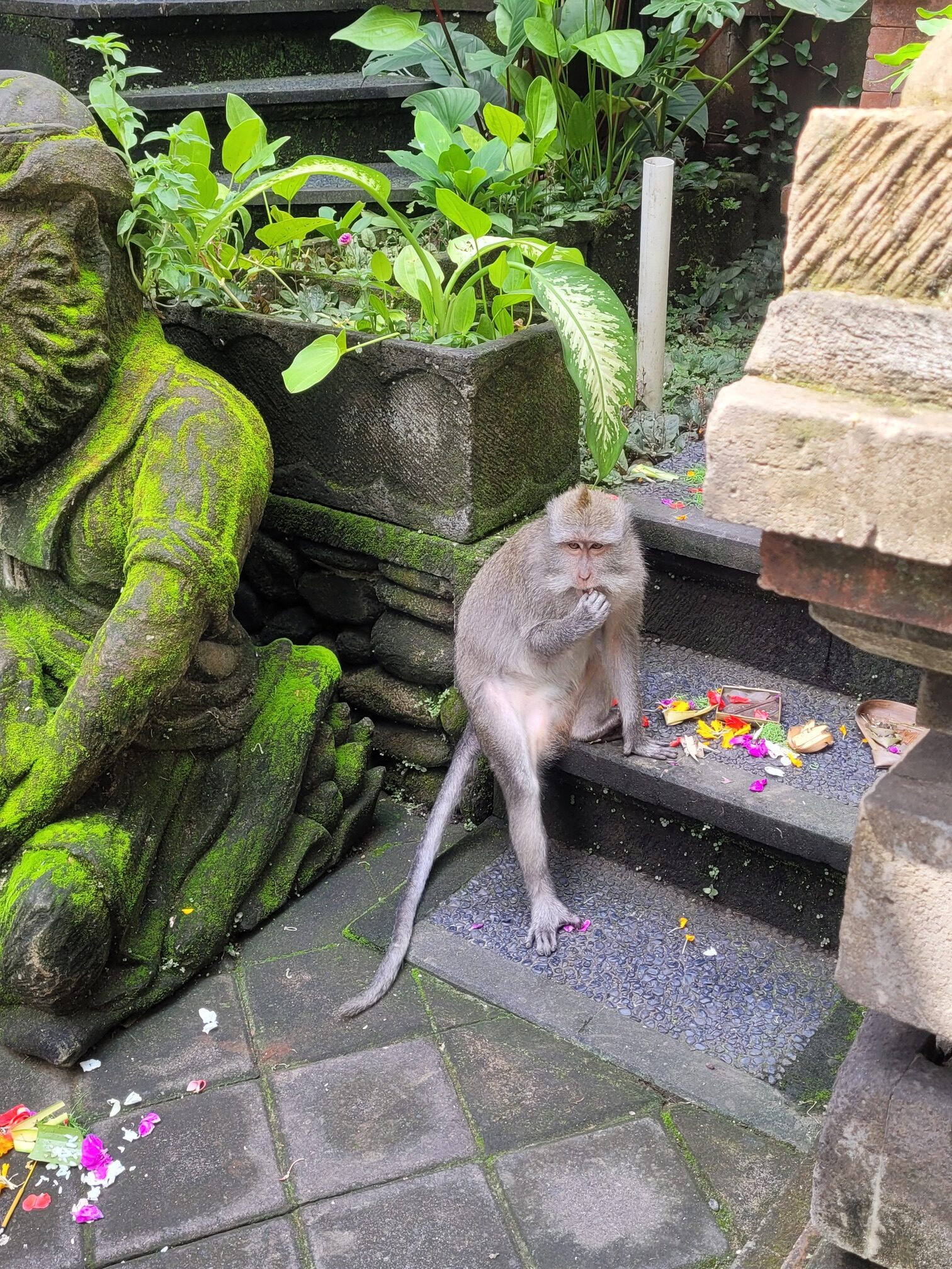 Rondreizen door Bali