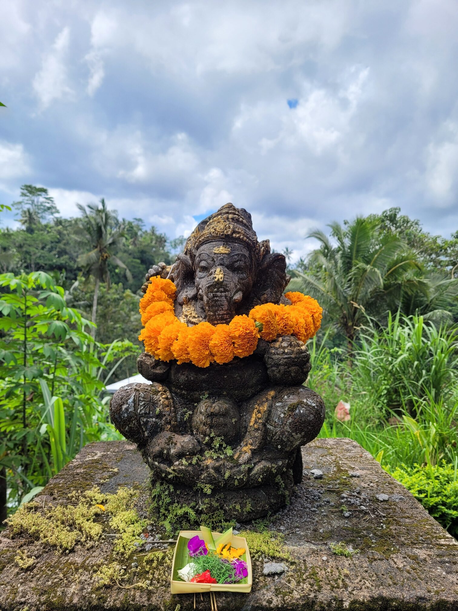 Rondreizen door Bali