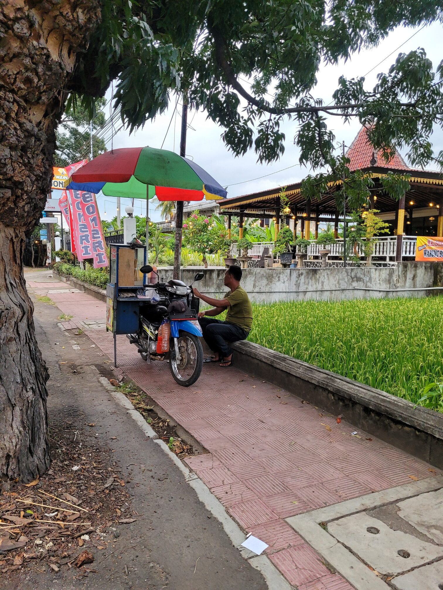 Rondreizen door Bali