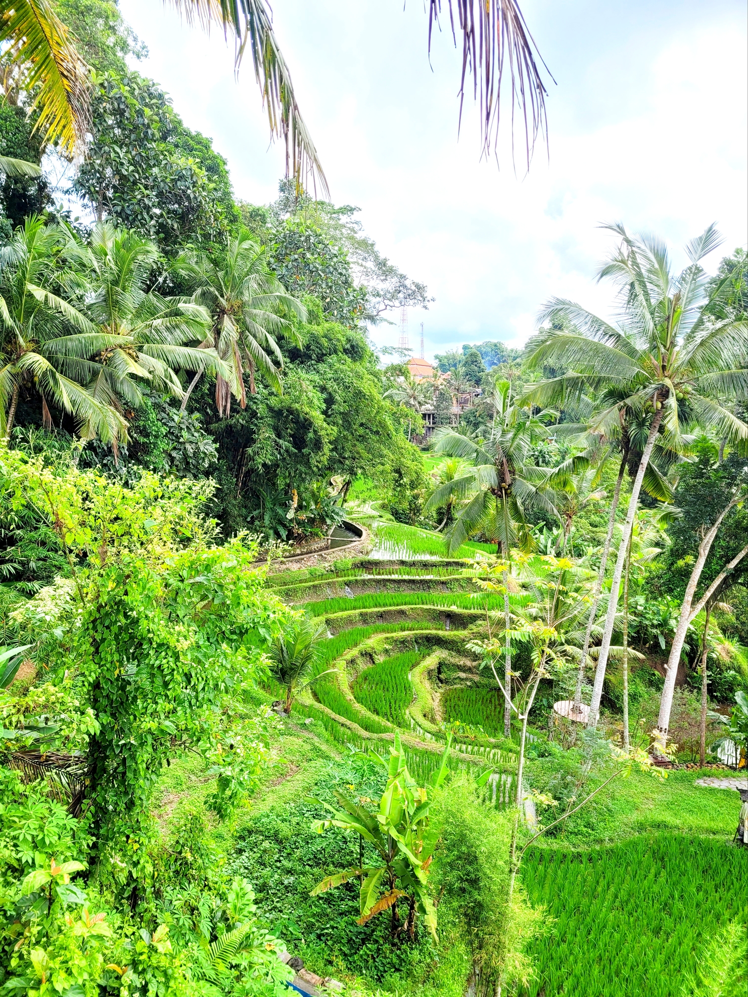 Rondreizen door Bali