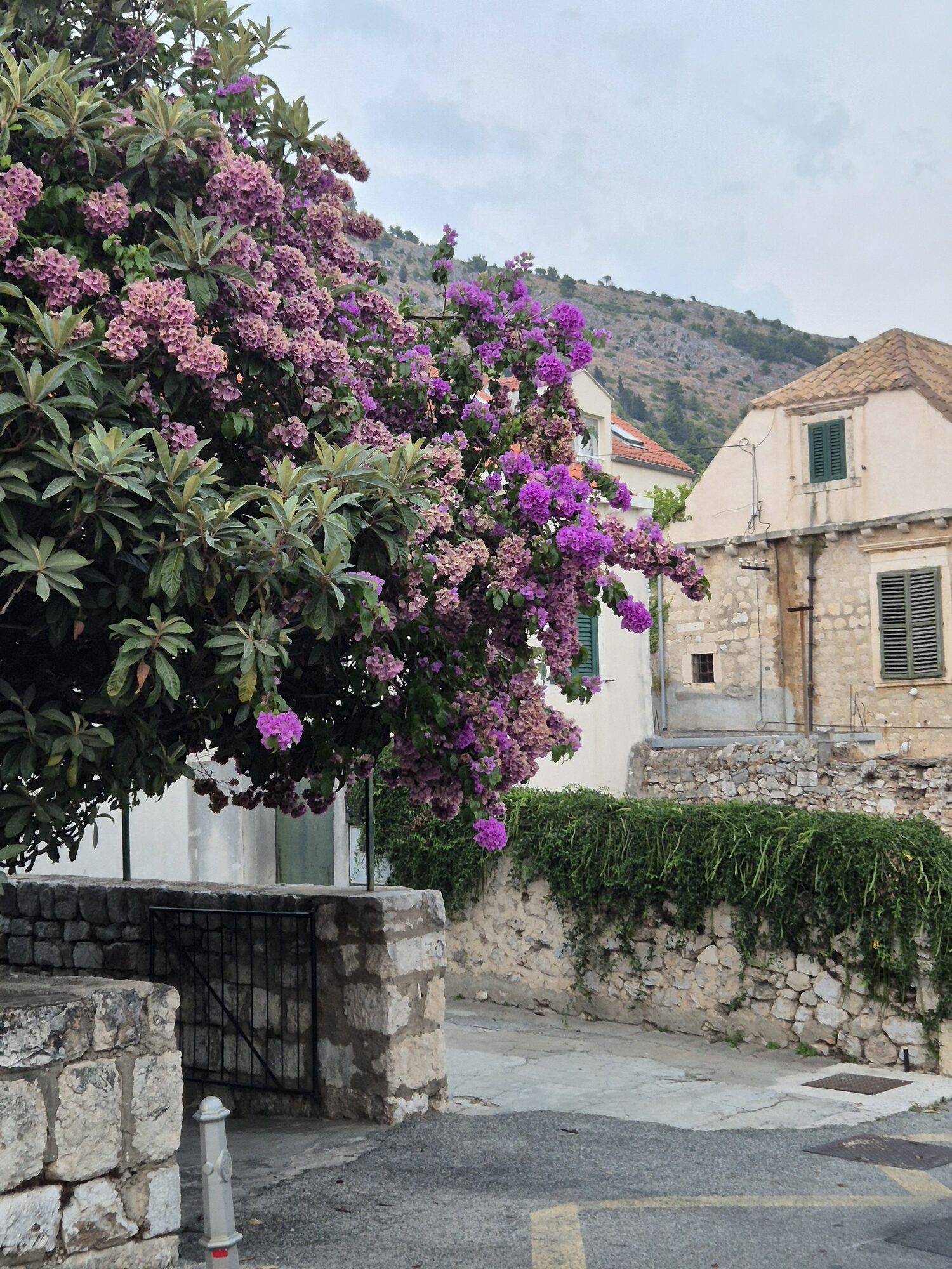 Citytrip Dubrovnik bezienswaardigheden en eten