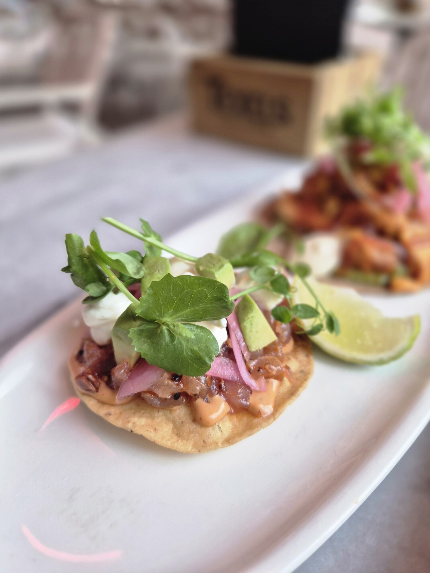 Modern Latijns-Amerikaans eten bij Café Paloma