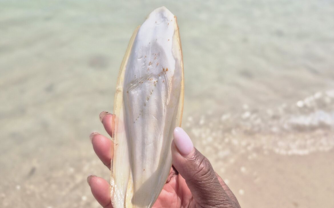 Midden- en Zuid-Thailand